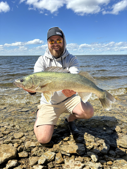 Walleye