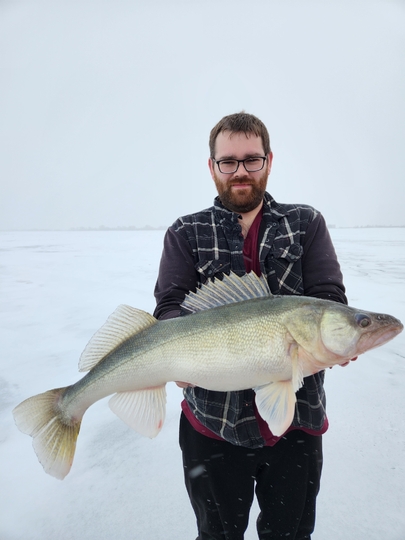Walleye