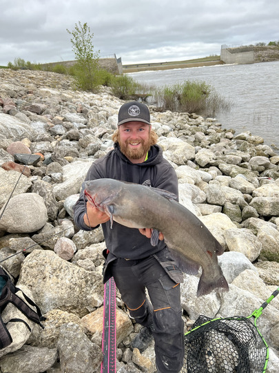 Channel Catfish
