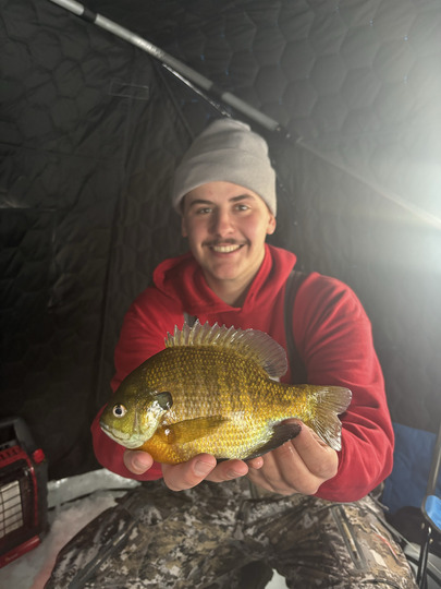 Sunfish