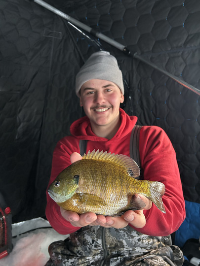 Sunfish