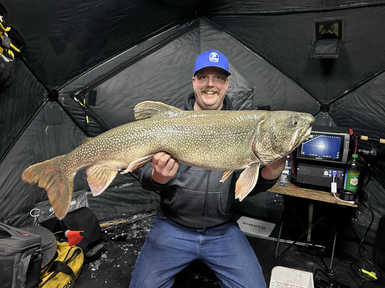 Lake Trout