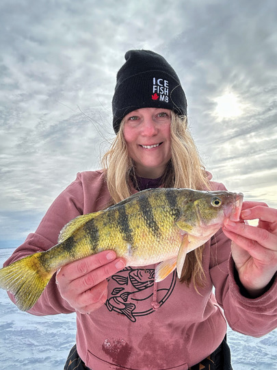 Yellow Perch