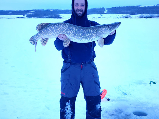 Northern Pike
