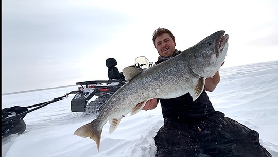 Lake Trout