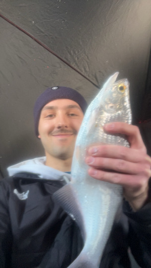 Goldeye