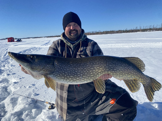 Northern Pike