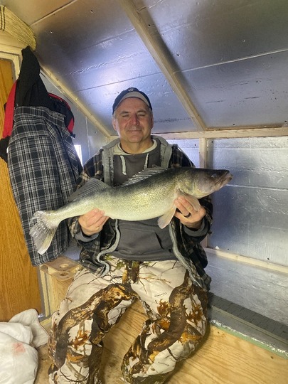 Walleye