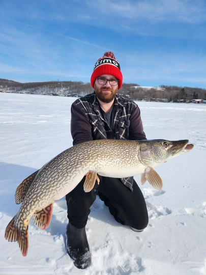Northern Pike
