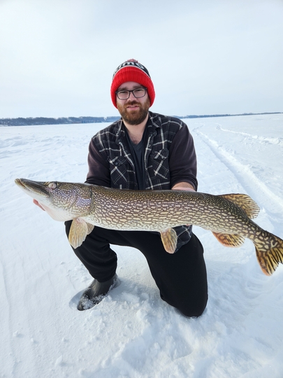 Northern Pike