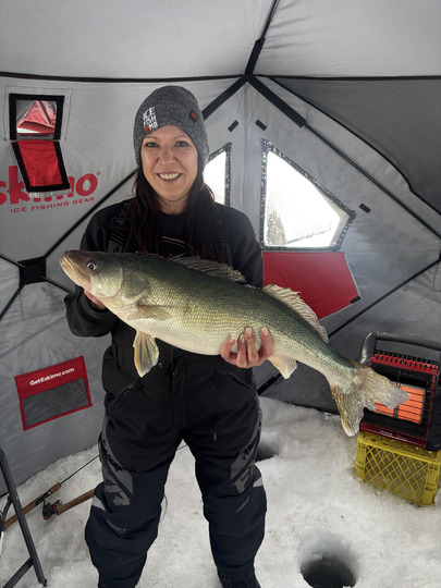 Walleye