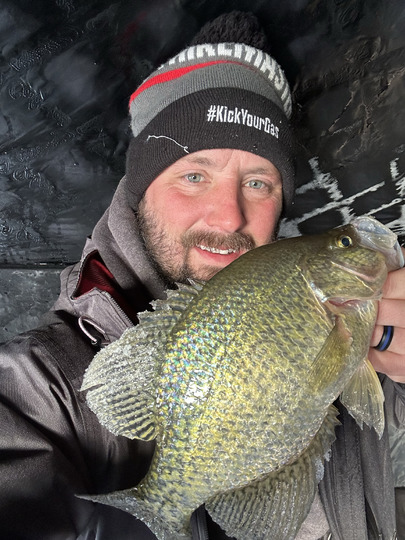 Black Crappie