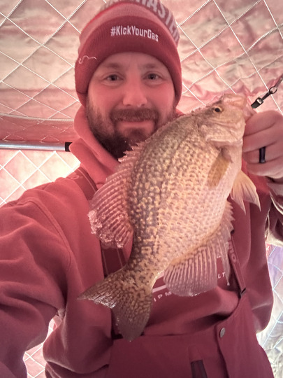 Black Crappie