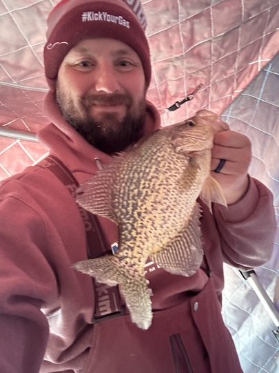 Black Crappie