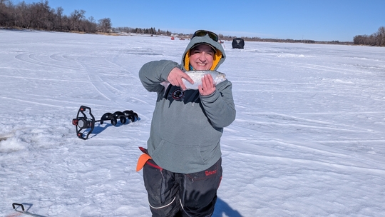 Goldeye