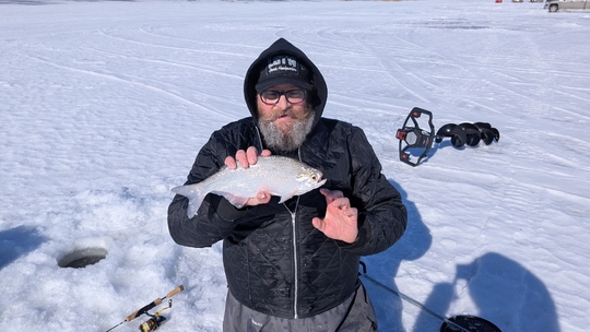 Goldeye