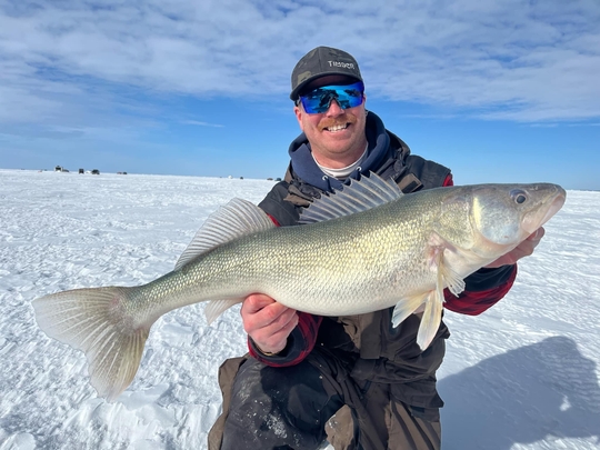 Walleye