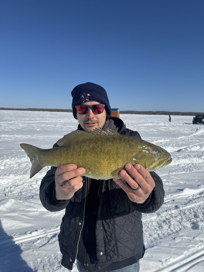 Smallmouth Bass