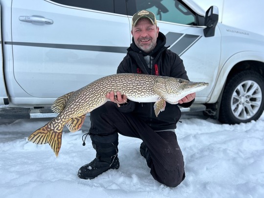 Northern Pike