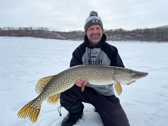 Northern Pike