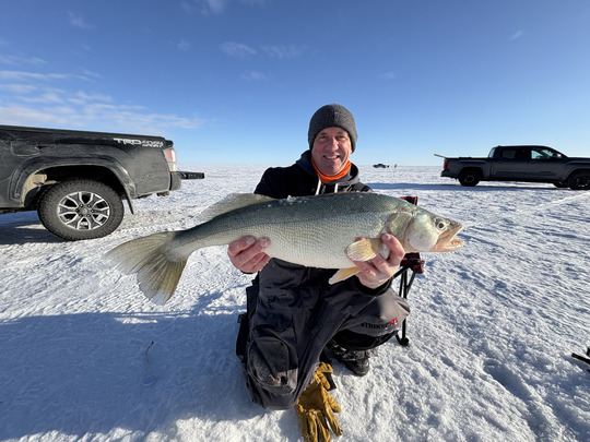 Walleye