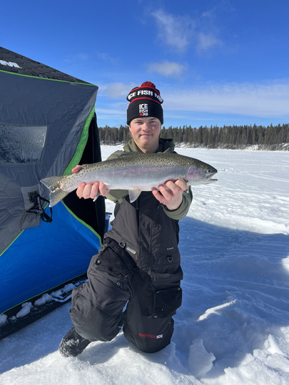 Rainbow Trout
