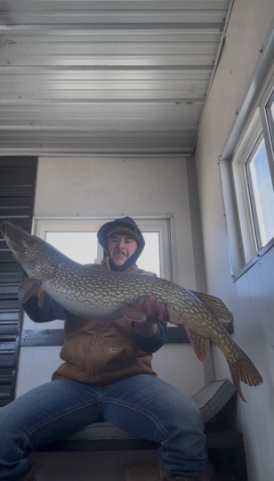Northern Pike