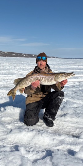Northern Pike
