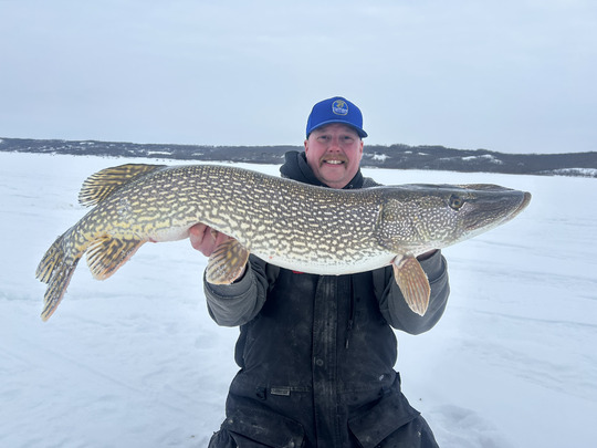 Northern Pike