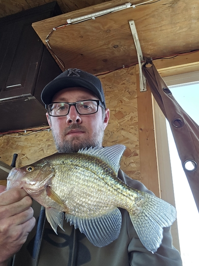 Black Crappie