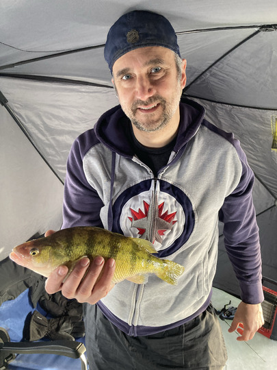 Yellow Perch