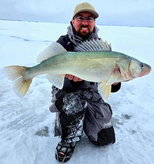 Walleye