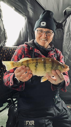 Yellow Perch