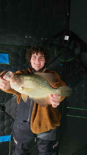 Black Crappie
