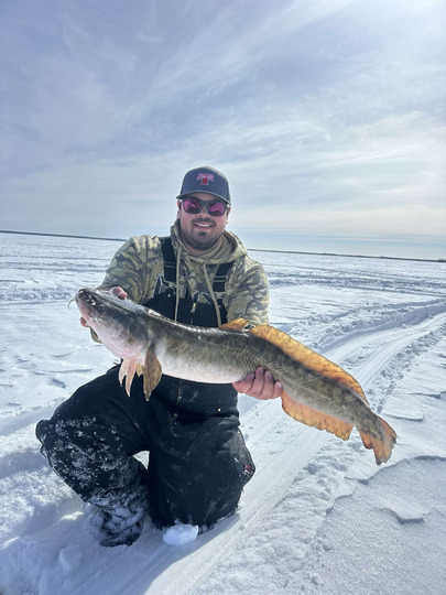 Burbot