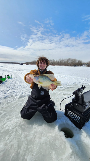 Black Crappie