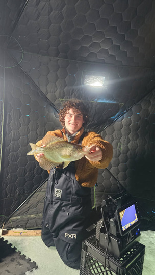 Black Crappie