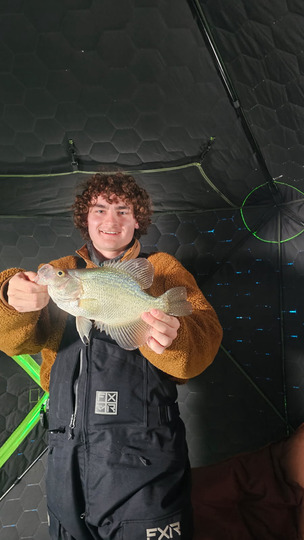 Black Crappie