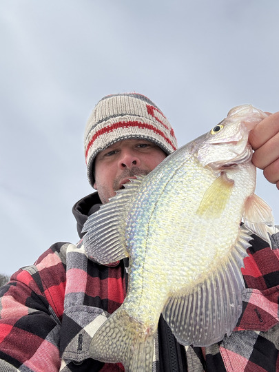 Black Crappie