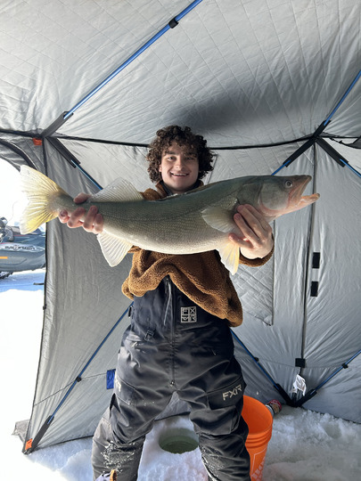 Walleye