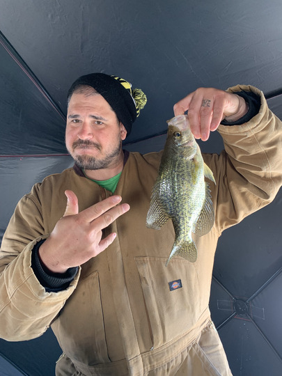 Black Crappie