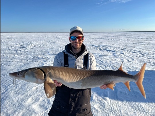 Lake Sturgeon