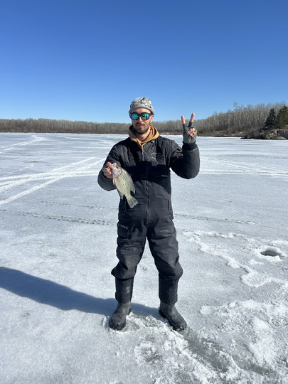 Black Crappie
