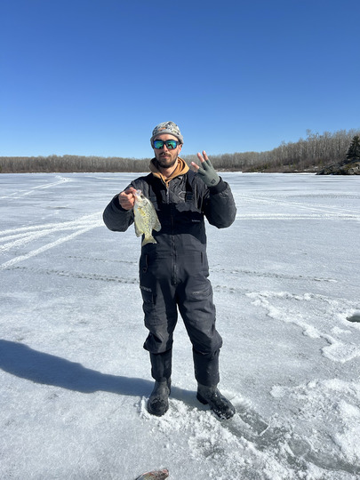 Black Crappie