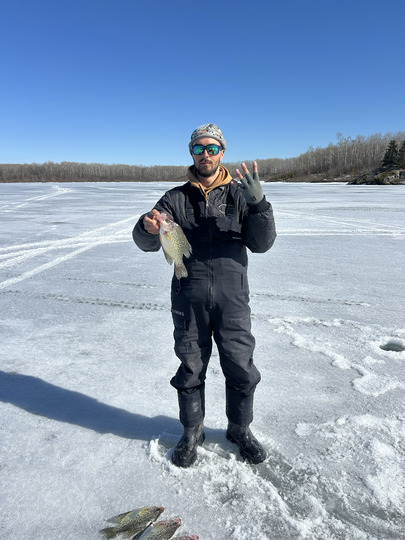 Black Crappie