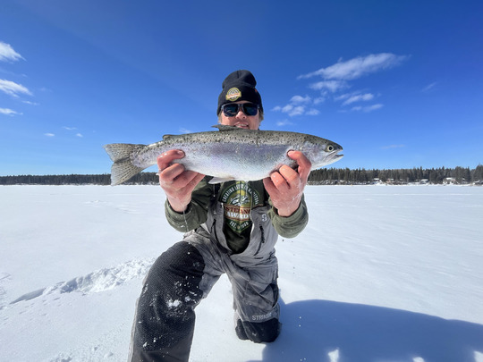 Rainbow Trout