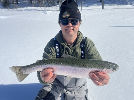 Rainbow Trout
