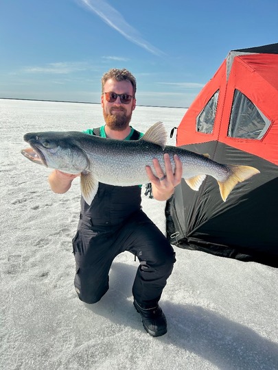Lake Trout