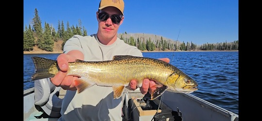 Tiger Trout