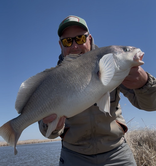 Freshwater Drum